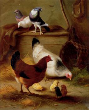Edgar Hunt : Pigeons And Chickens